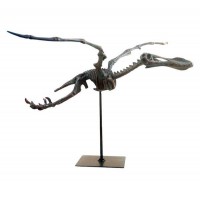 Archaeopteryx Skeleton Figure 