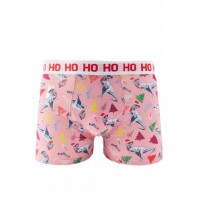 Mens Christmas Dinosaur Boxers