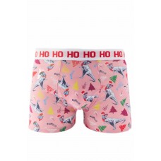 Mens Christmas Dinosaur Boxers