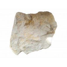 Dinosaur Footprints - Ornithopod