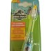 Jurassic World Flashing Toothbrush