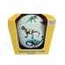 Dinosaur 12.5cm Football