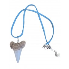 Shark Tooth Surfer Necklace - Replica Fossil