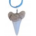 Shark Tooth Surfer Necklace - Replica Fossil