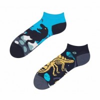 Adult Dinosaur Trainer Socks