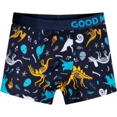 Organic Cotton Dinosaur Trunks