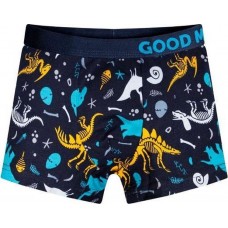 Organic Cotton Dinosaur Trunks