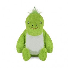 Green Dinosaur Hotwater Bottle