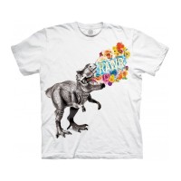 Dinosaur Rawr - Ladies T-shirt XL