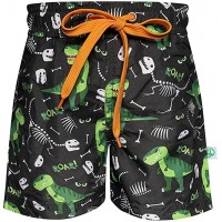 Kids T-rex Swim Trunks