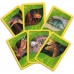 Top Trumps Match Board Game
