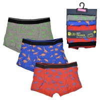 Dinosaur Trunks - 3 Pack