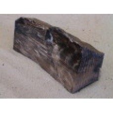 Fossilized Wood