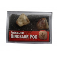 Dinosaur Dung Fossil