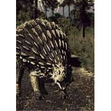 Ankylosaurus 3D Greetings Card