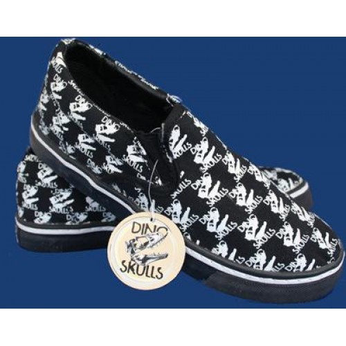 Dinosaur vans slip ons outlet