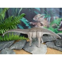 Diplodocus - NHM Collection