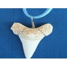 Shark Tooth Surfer Necklace - Replica Fossil