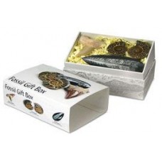Fossil Gift Box