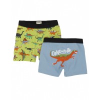 Hatley Boys Dinosaur Boxers - 2 Pack