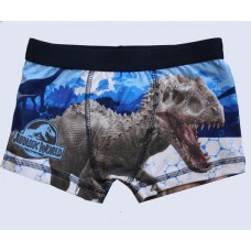 Jurassic World Boys Blue Trunks