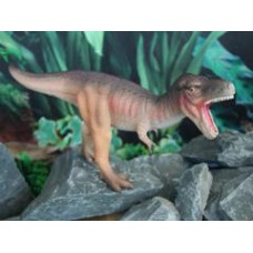 T-rex - NHM figure