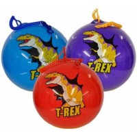 Dinosaur Playground Ball