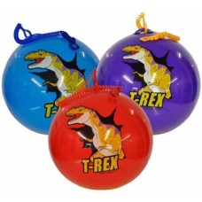Dinosaur Playground Ball