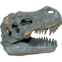 T-Rex Skull 16cm