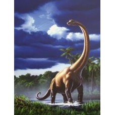 Brachiosaurus Fine ART PRINT