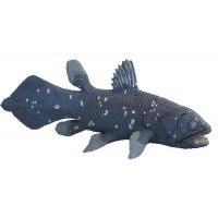 Coelacanth - Safari Collection