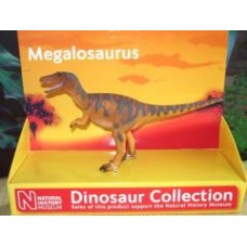 Megalosaurus - NHM