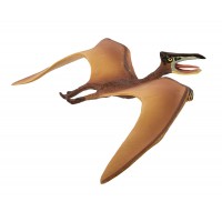 Quetzalcoatlus - Carnegie Collection