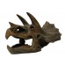 Triceratops Skull  23cm