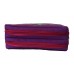 Dinosaur Double Sided Pencil Case