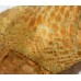 Tyson the T-rex Plush Dinosaur 30cm